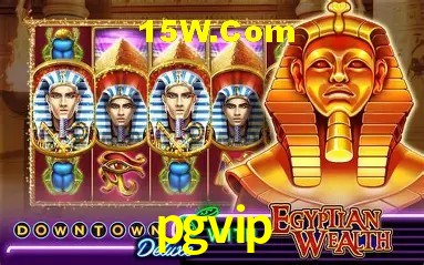 Casino Ao Vivo pgvip