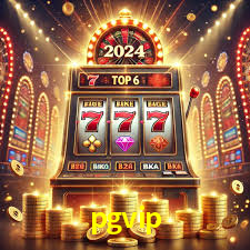 Premium Interface pgvip