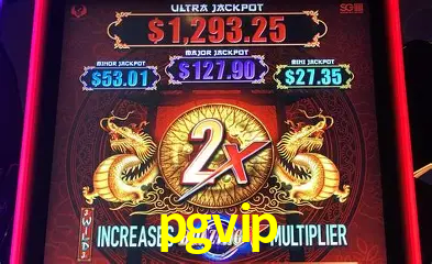 Casino Ao Vivo pgvip