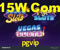 pgvip plataforma