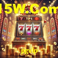 pgvip App Interface