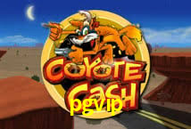 VIP Casino pgvip